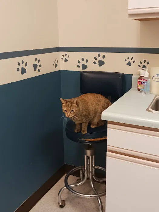 Pawpatch Animal Hospital Picture 5