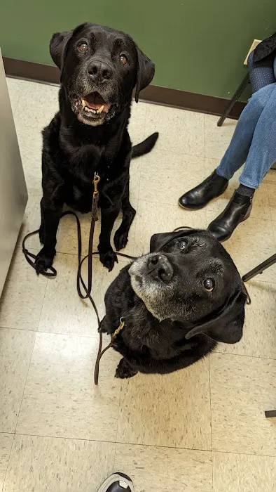 Pawpatch Animal Hospital Picture 3