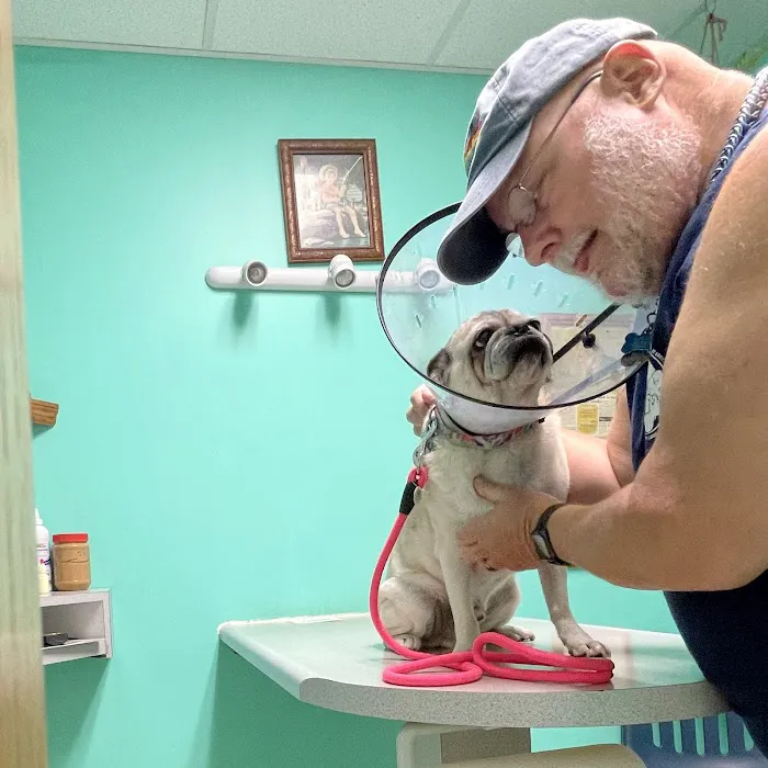 Gateway City Animal Clinic Picture 1