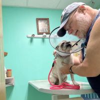 Gateway City Animal Clinic ico