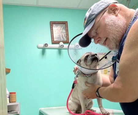 Gateway City Animal Clinic