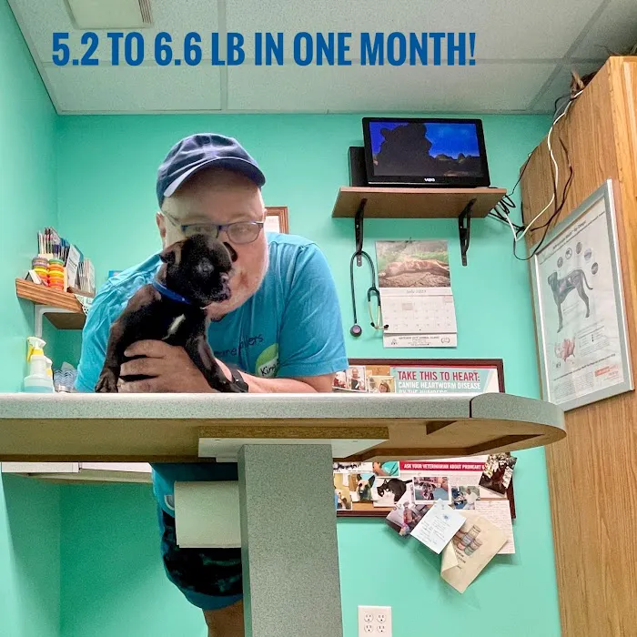 Gateway City Animal Clinic Picture 4