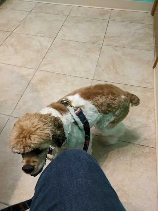 Gateway City Animal Clinic Picture 3