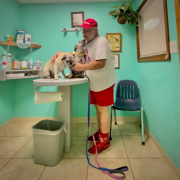 Gateway City Animal Clinic Picture 7