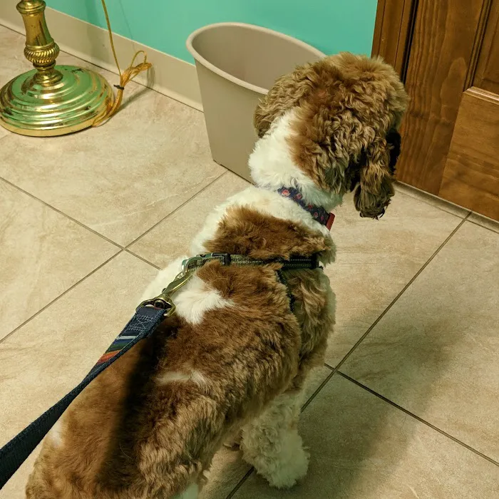 Gateway City Animal Clinic Picture 9