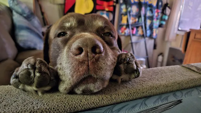 Gateway City Animal Clinic Picture 8