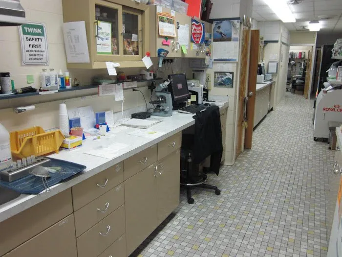 Florissant Animal Hospital Picture 5