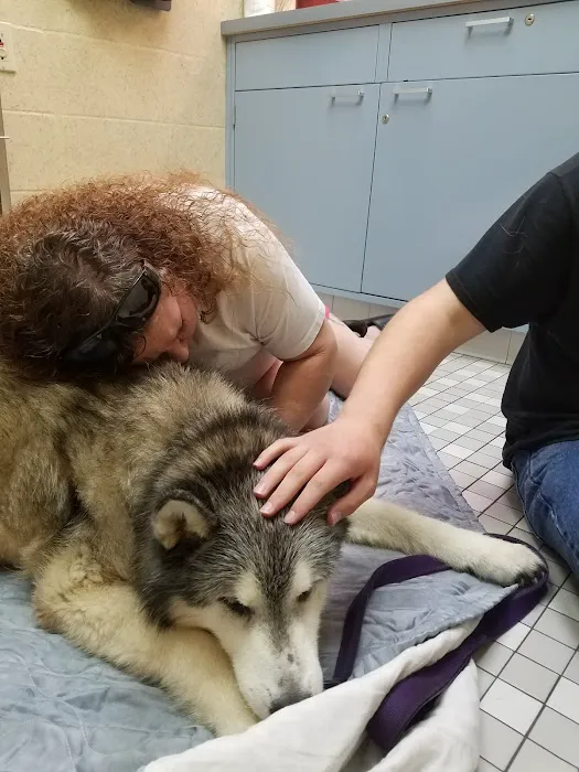 Florissant Animal Hospital Picture 8