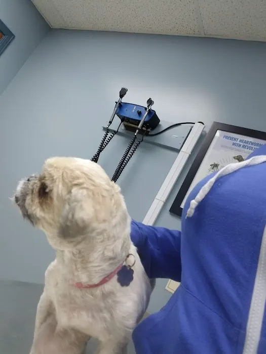 Ferguson Animal Hospital Picture 1