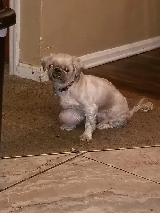 Ferguson Animal Hospital Picture 2