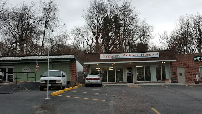 Ferguson Animal Hospital Picture 4