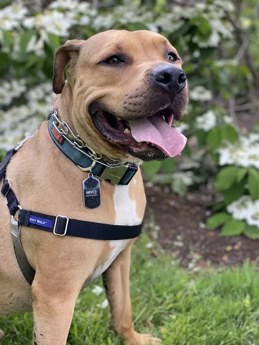 Ferguson Animal Hospital Picture 7