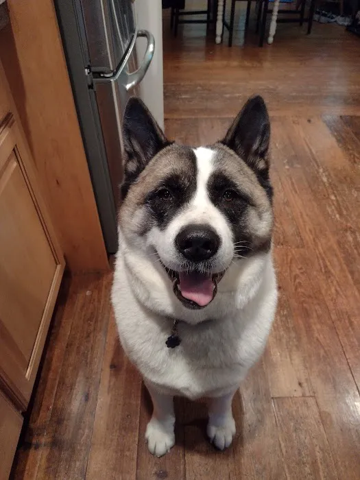 Howdershell Animal Clinic Picture 4