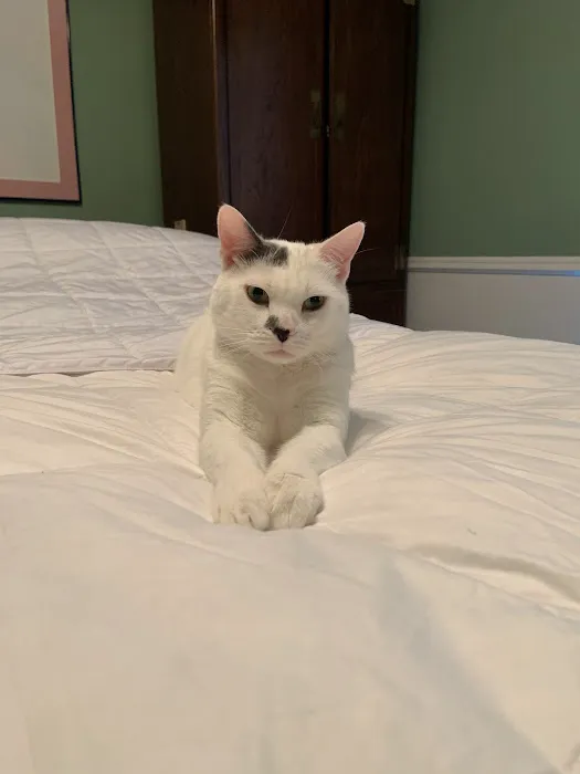 Howdershell Animal Clinic Picture 3