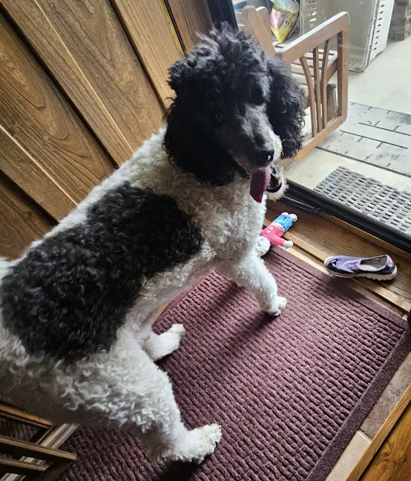 Howdershell Animal Clinic Picture 2