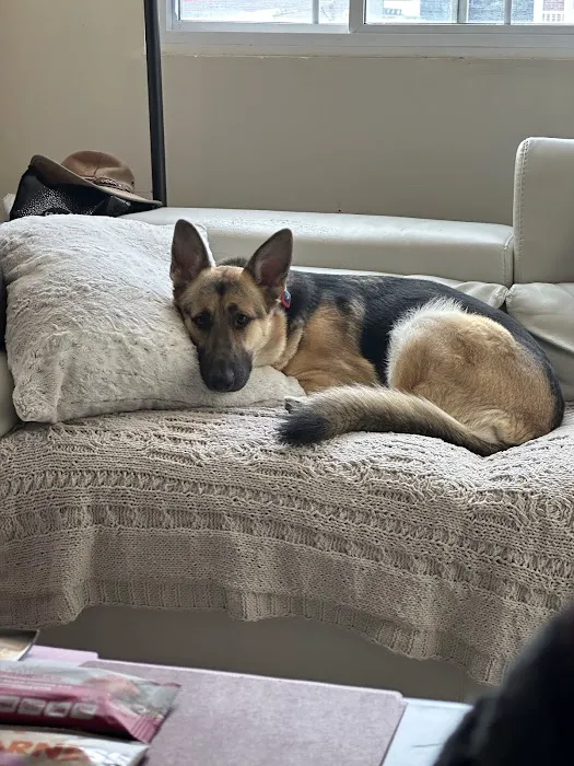 Howdershell Animal Clinic Picture 5