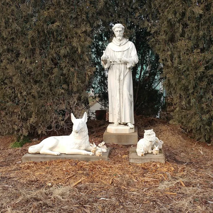 St. Francis Veterinary Clinic Picture 4