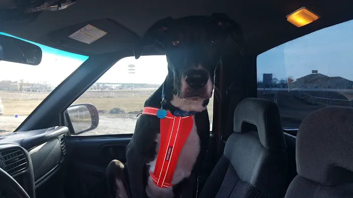 St. Francis Veterinary Clinic Picture 8