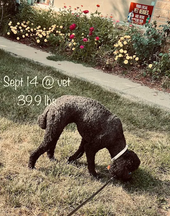 St. Francis Veterinary Clinic Picture 10