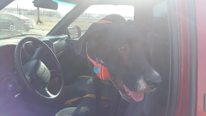 St. Francis Veterinary Clinic Picture 7