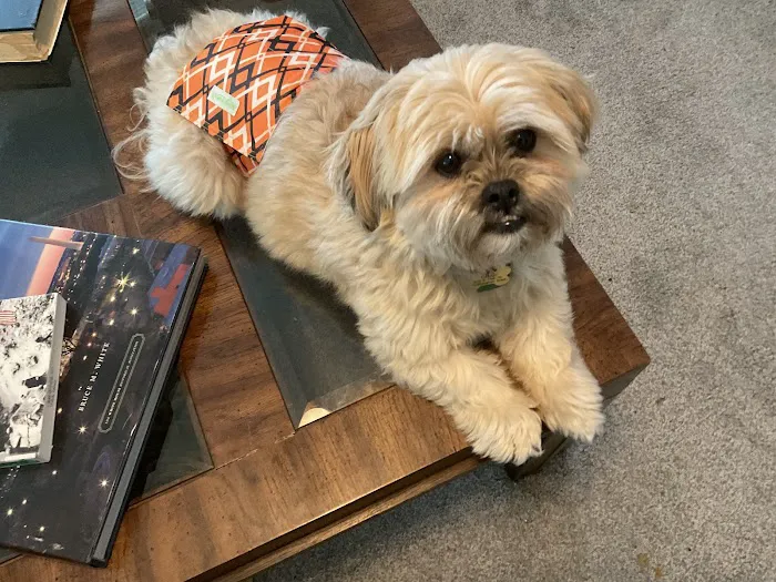 Veterinary Medical Center of Kalona Picture 10