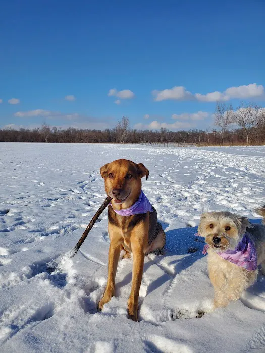 Schlapkohl Veterinary Services Picture 2