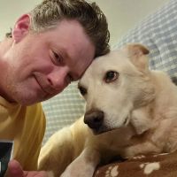 Washington Veterinary Clinic ico