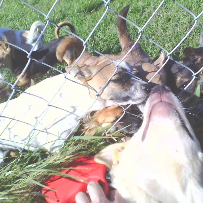 Washington Veterinary Clinic Picture 4