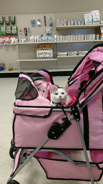 Town and Country Veterinary Clinic Picture 1