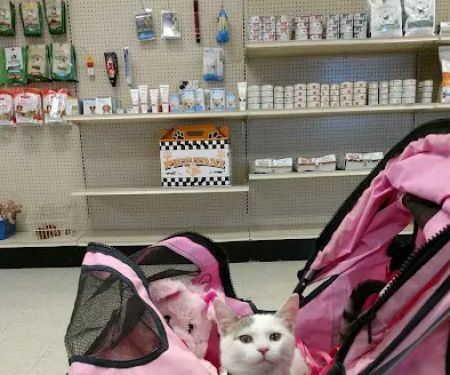 Town and Country Veterinary Clinic