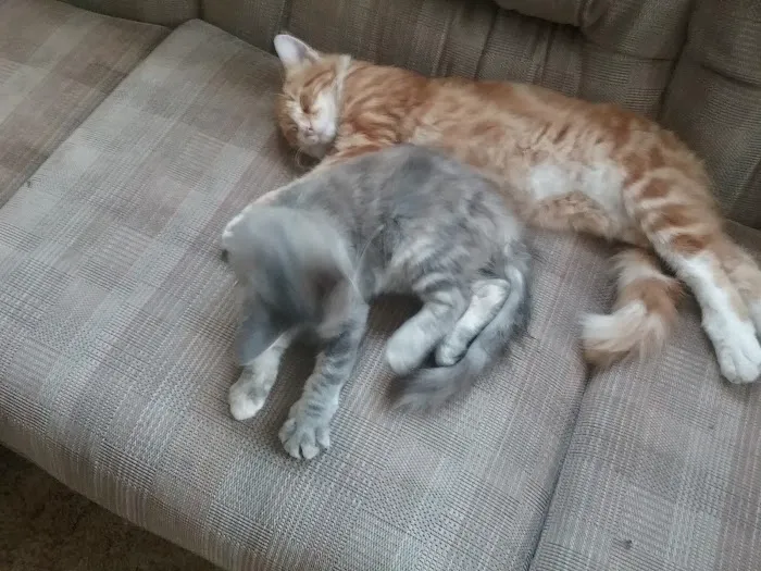 Wayland Veterinary Clinic Picture 4