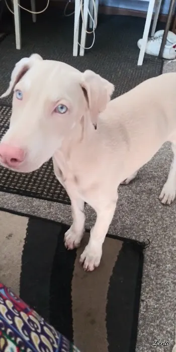 Wayland Veterinary Clinic Picture 2