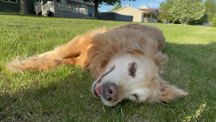 Walljasper Veterinary Clinic Picture 1