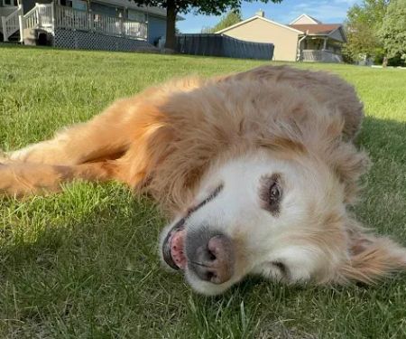 Walljasper Veterinary Clinic