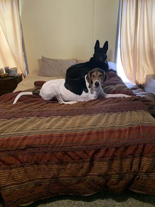 Walljasper Veterinary Clinic Picture 5