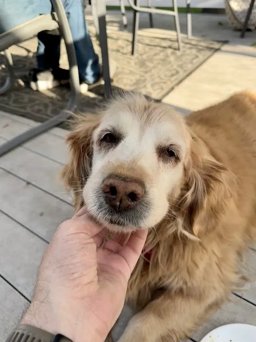 Walljasper Veterinary Clinic Picture 3