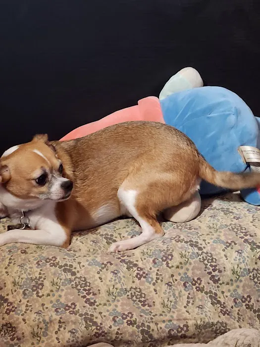 Walljasper Veterinary Clinic Picture 4