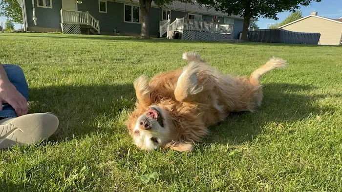 Walljasper Veterinary Clinic Picture 2