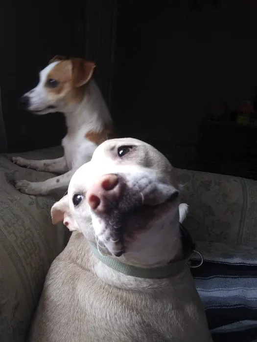 Walljasper Veterinary Clinic Picture 6