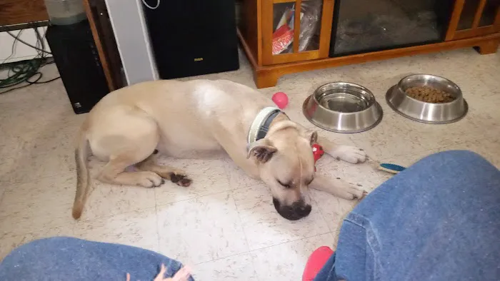 Walljasper Veterinary Clinic Picture 8