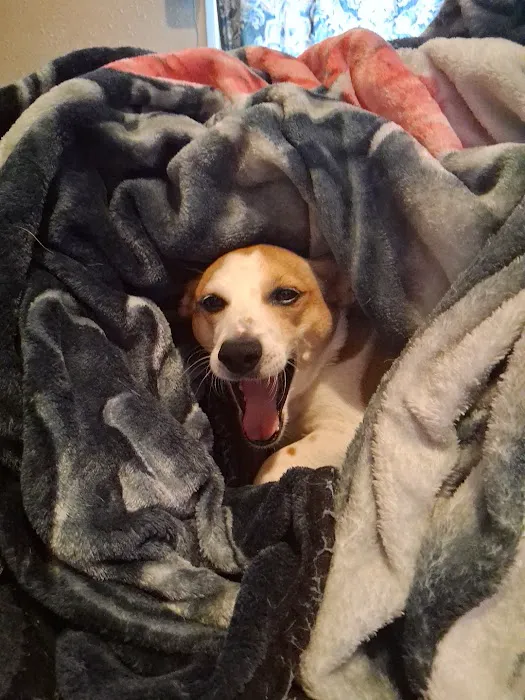 Walljasper Veterinary Clinic Picture 7