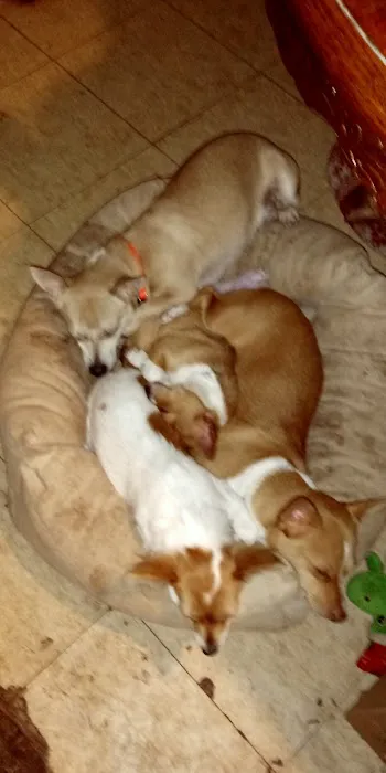 Walljasper Veterinary Clinic Picture 9