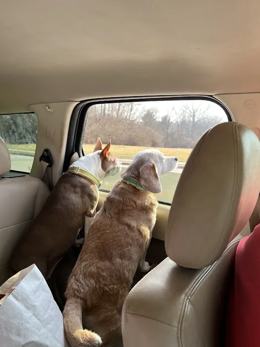 Carthage Veterinary Clinic Picture 1