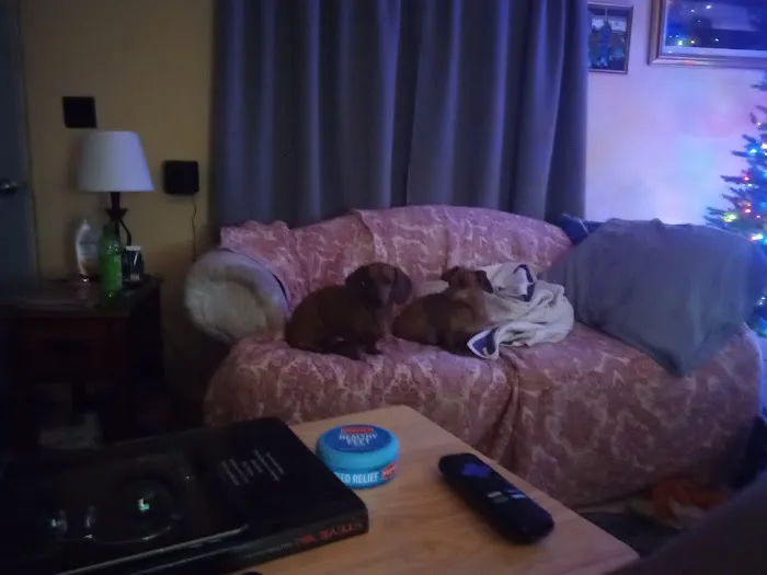 Hentzel Marlin D DVM Picture 2