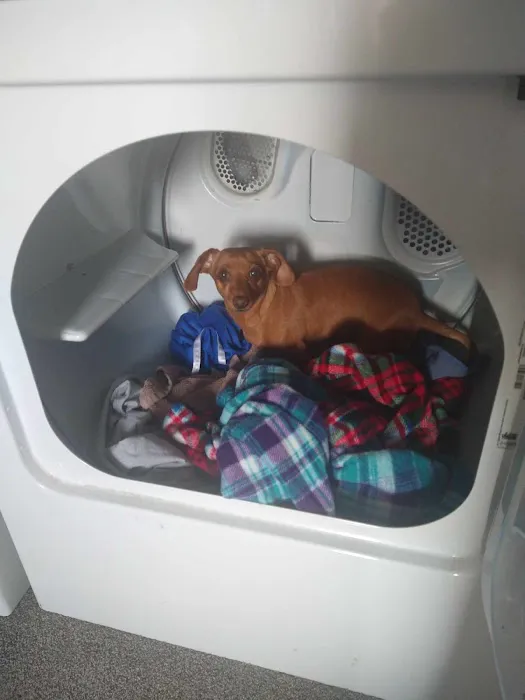 Hentzel Marlin D DVM Picture 3