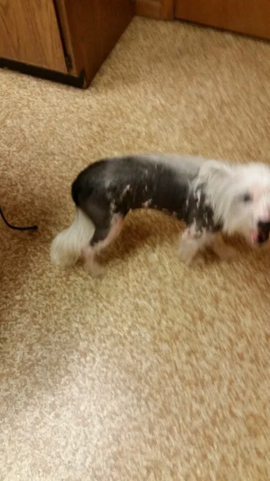 Walljasper Veterinary Clinic Picture 1