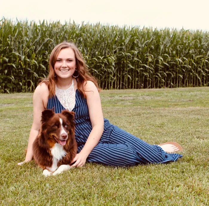 Hometown Veterinary Care Picture 3