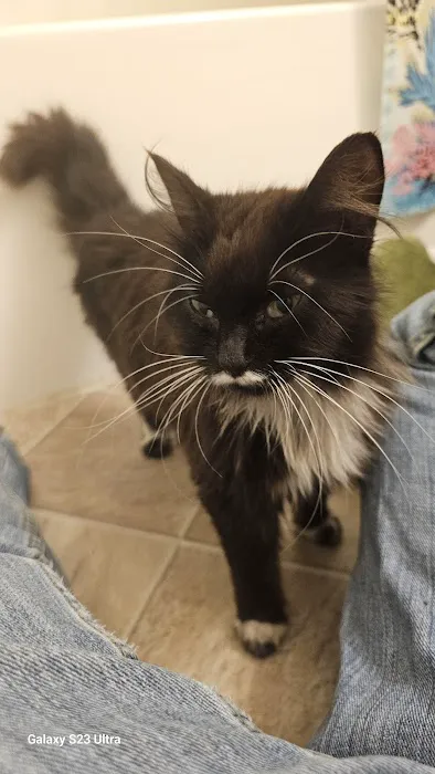 Hometown Veterinary Care Picture 2