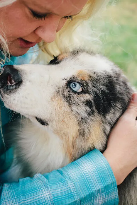 Hometown Veterinary Care Picture 6