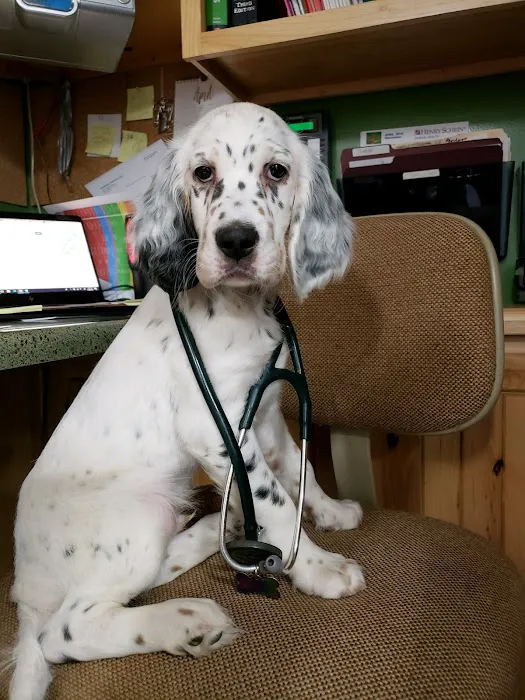 Hometown Veterinary Care Picture 5